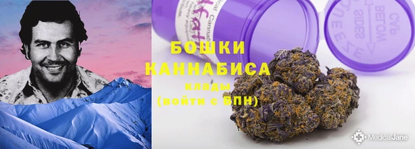 дживик Магас