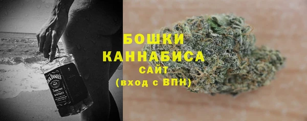 дживик Магас