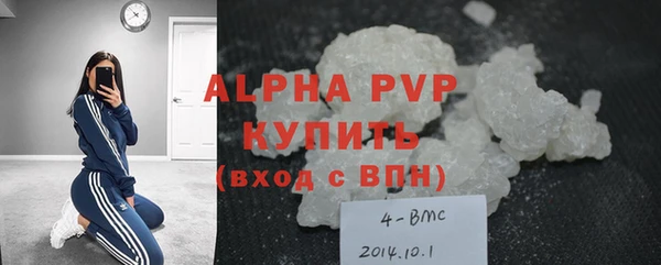 ПСИЛОЦИБИНОВЫЕ ГРИБЫ Медвежьегорск