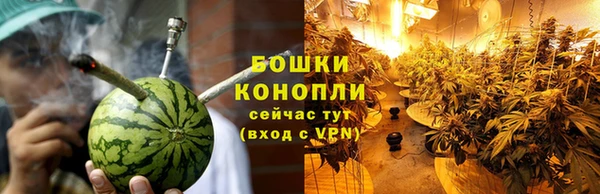 дживик Магас