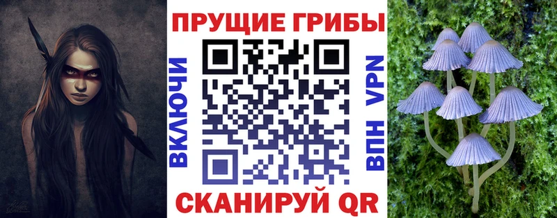 продажа наркотиков  Николаевск-на-Амуре  Псилоцибиновые грибы Magic Shrooms 